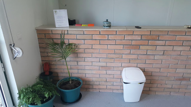 Avaliações doFisioAmorim em Leiria - Médico