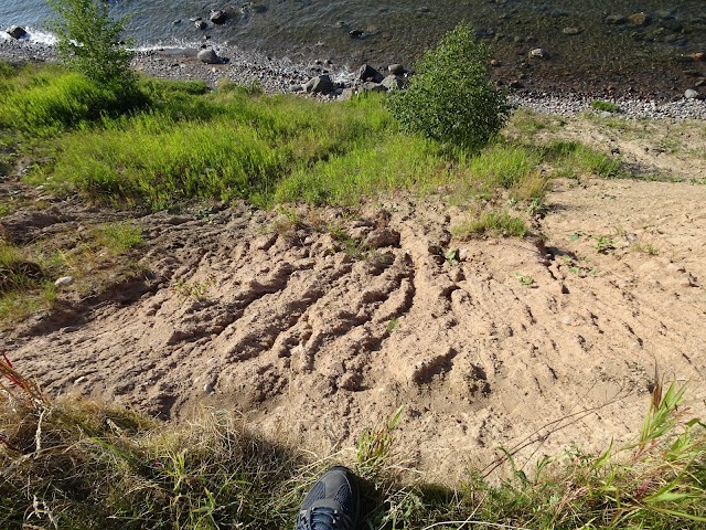 Tylösand beach