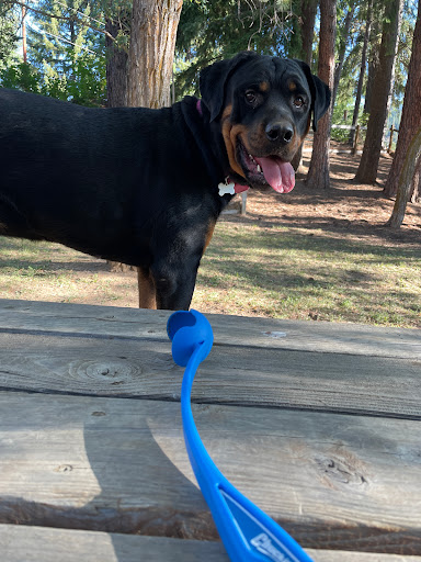 Best Friends Mobile Veterinary Care Gallery - United States