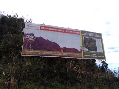 Photos of Alto El Tigre