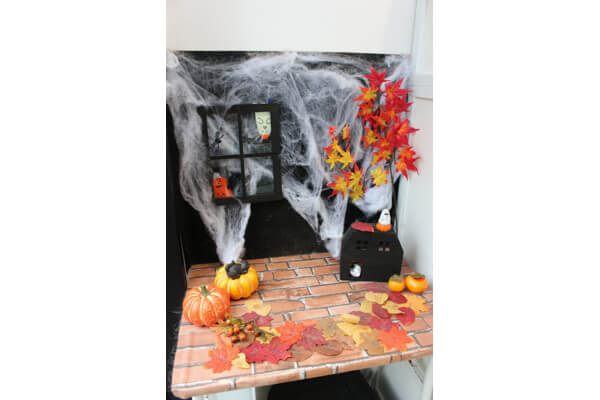 PET-SPA白金プラチナ通り店