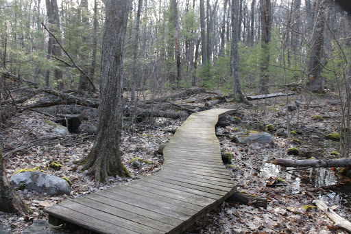 Grassy Pond Conservation Land - Thumbnail