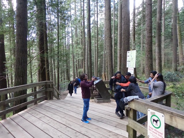 Lynn Canyon Suspension Bridge