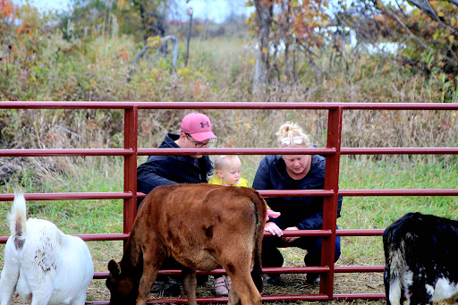 Rosehill Ranch - Thumbnail