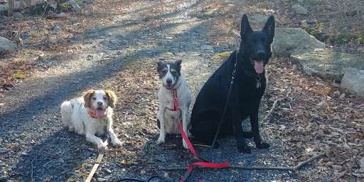 Four Leaf Rover Pet Services LLC