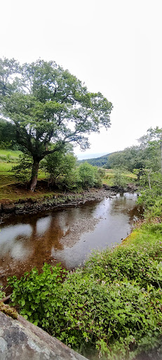 Ceunant Llennyrch National Nature Reserve - Thumbnail