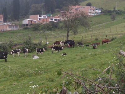 Photos of Parque los frailejones Sibate