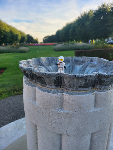 Bird Bath - Visual