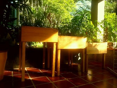 Photos of Hortus Costa Rica