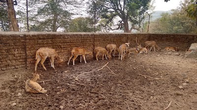 Photos of Manimukunda Park