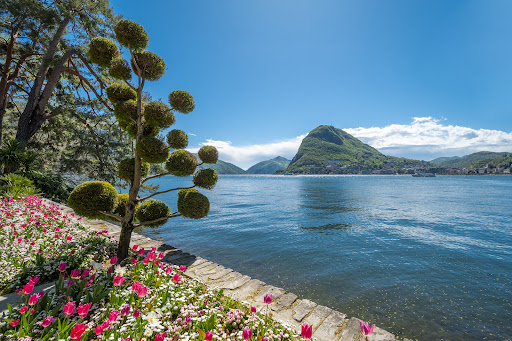 Engel & Völkers Lugano - Thumbnail