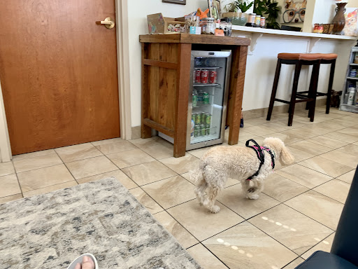 Dr. Kate's Pet Clinic - Thumbnail