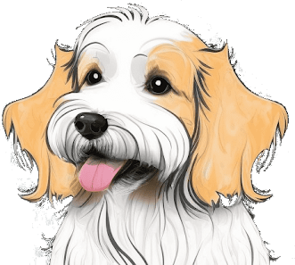 Bild: Hundesalon Emika Vom Inhaber