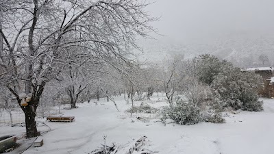 Photos of سوبلة