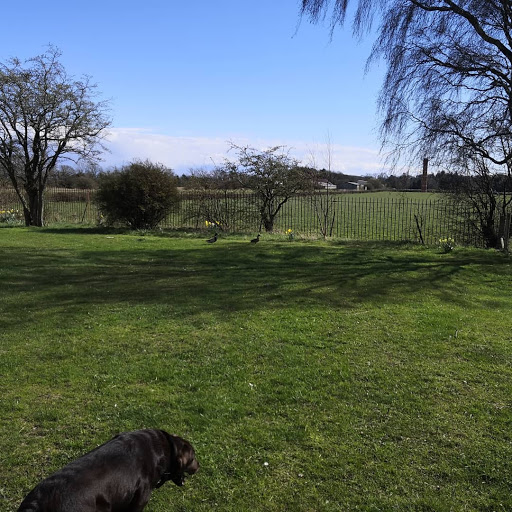 Priory View Camping & Caravan Site - Thumbnail