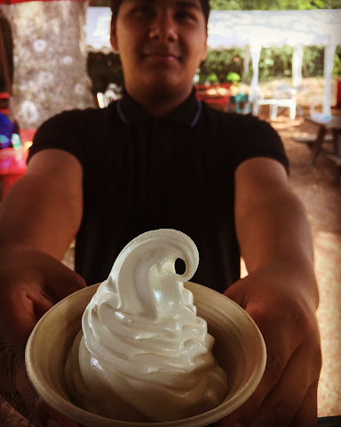 Burger Stevens by null