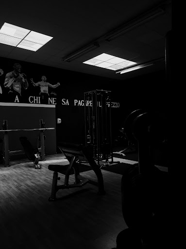 Fitness Lab81 - Thumbnail