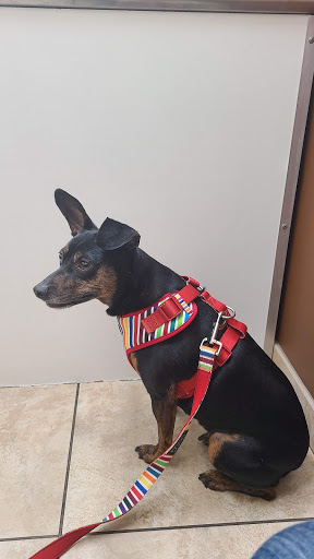Apollo Veterinary Hospital - Thumbnail