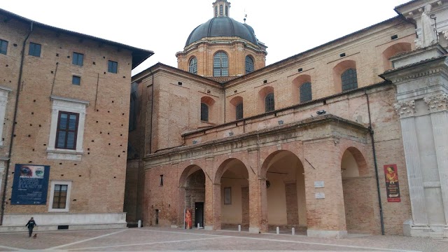 Urbino