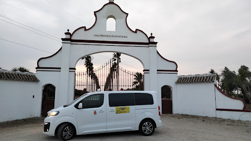 Taxi de Morón 8 Plazas | Antonio Miranda - Thumbnail