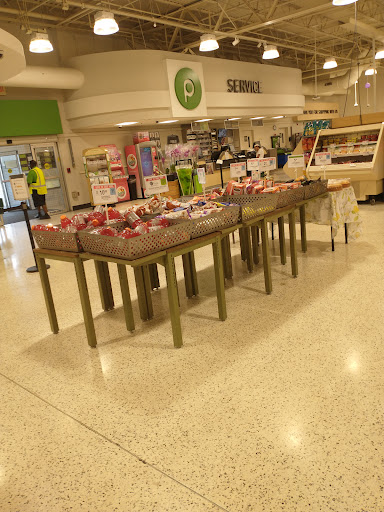 Publix Super Market at Pine Tree Plaza - Thumbnail
