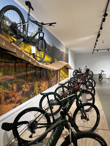 e-motion e-Bike Welt & Lastenfahrrad-Zentrum Frankfurt-Süd - Thumbnail