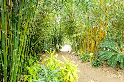 San Diego Botanic Garden