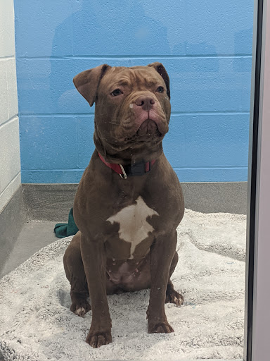 Columbus Humane - Visual