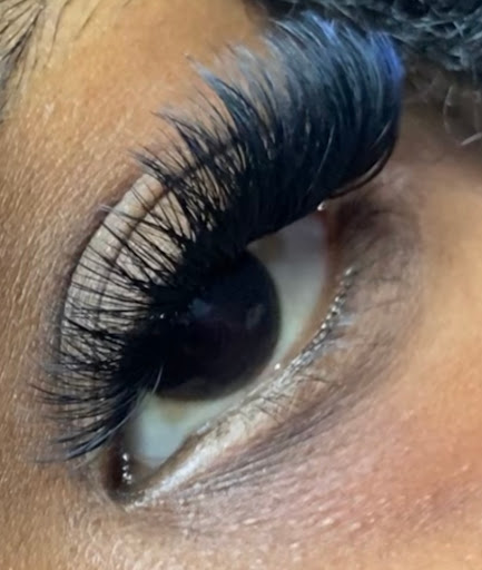 Lash Grove - Visual