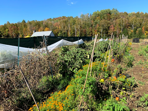 Chic Shack Tremblant - Thumbnail