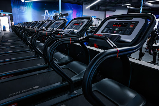 Amped Fitness (Carrollwood) - Thumbnail