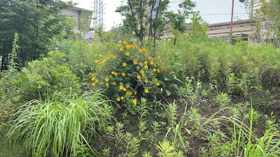 中央大学国際教育寮