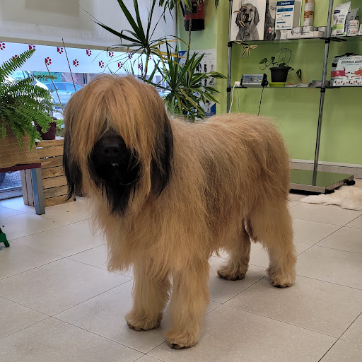 Consultorio Veterinario Cat Dog