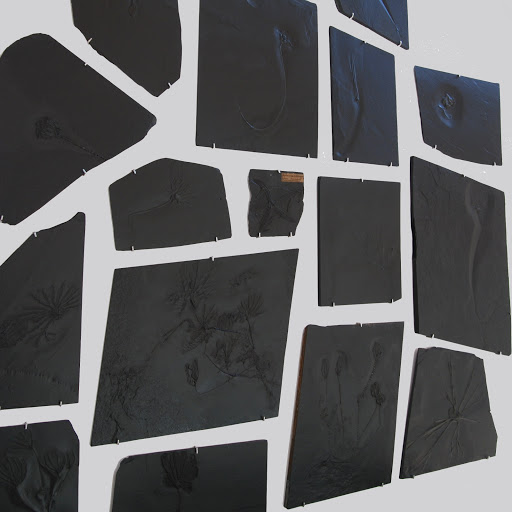 Fossiland - Thumbnail
