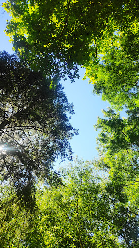 Área recreativa de Ribasaltas - Thumbnail