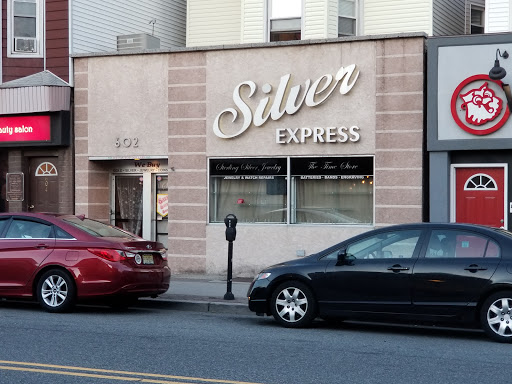 Silver Express - Visual