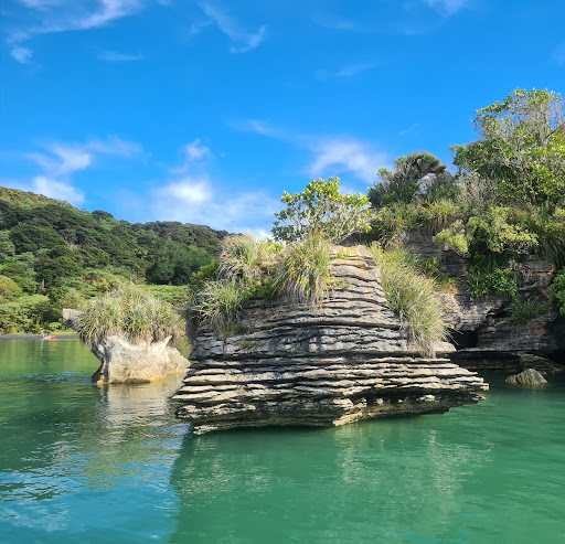 Raglan Harbour Cruises