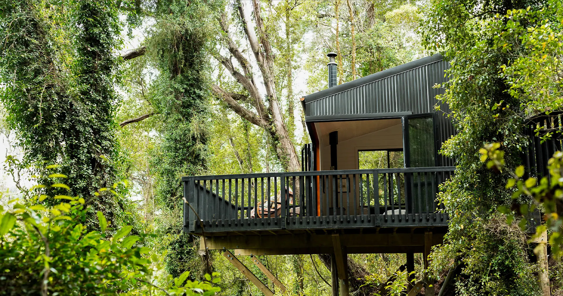 Te Aka Treehouse - Native Forest Retreat