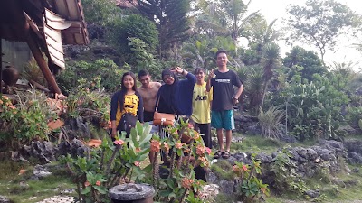 Photos of Batavia Survey