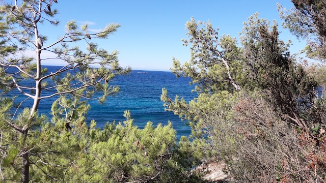 Padulella Beach