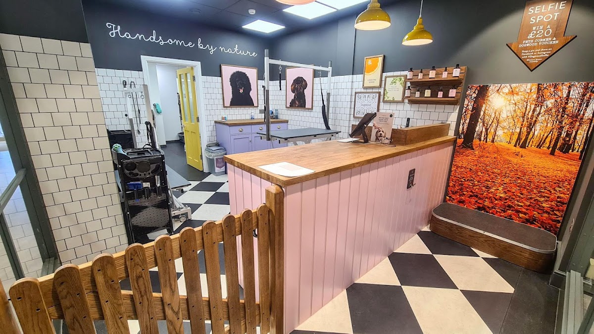 Dogwood Chelmsford Pet Grooming Spa store