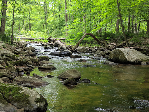India Brook Natural Area