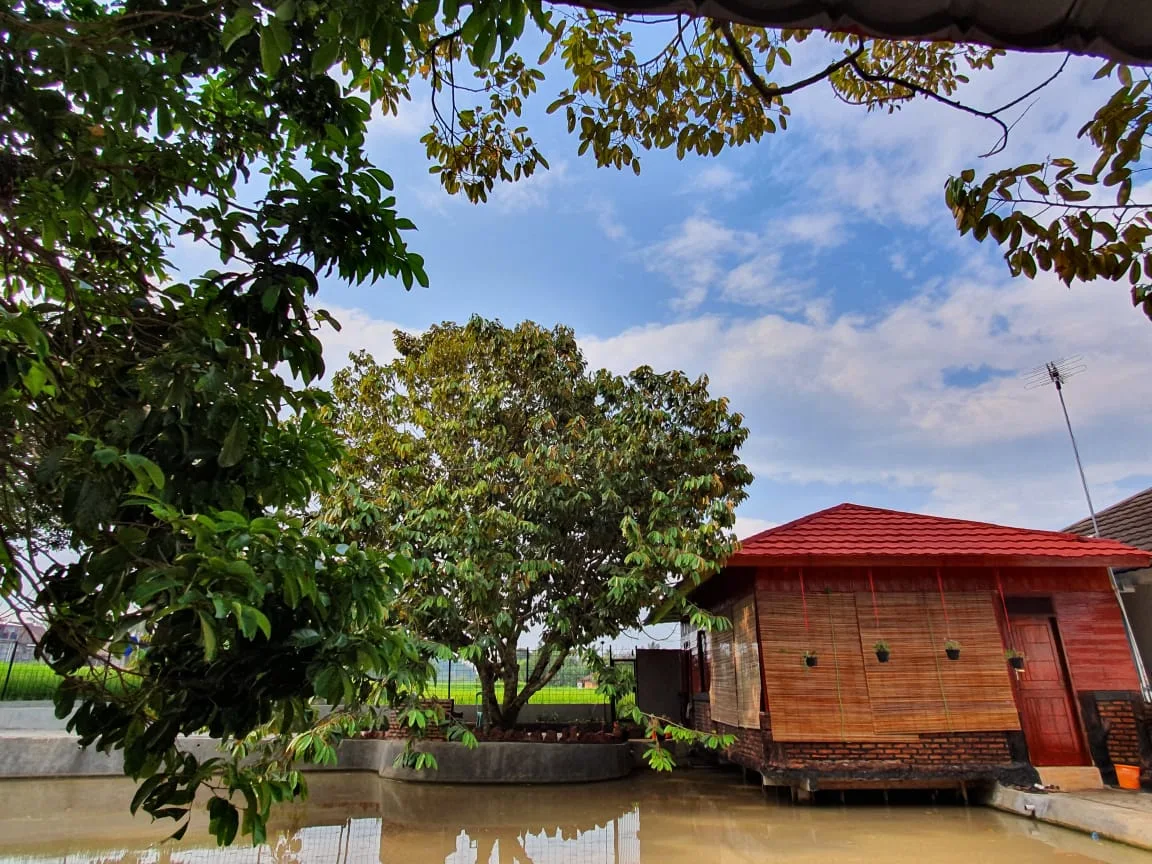 Villa Bani Arief