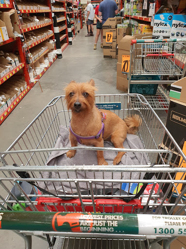 Bunnings Bunbury - Thumbnail