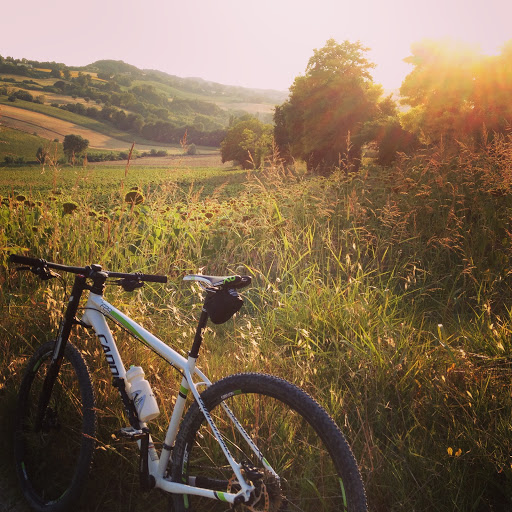 Ciclomotor - Thumbnail
