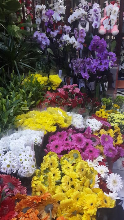 Rain Flower delivery Mersin