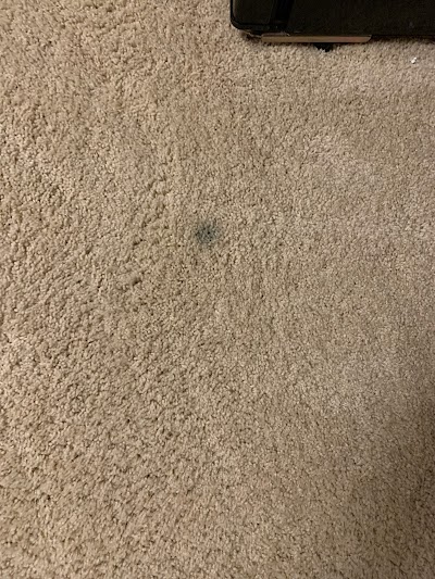 Complete Carpet Care