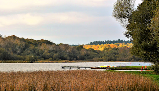 base de loisirs pedalos - Thumbnail