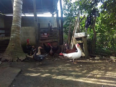 Photos of V&Iacute;A BALOTO SUPERMERCADO MERCAHOGAR DE LORICA LORICA