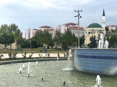 Toki Houses Mosque